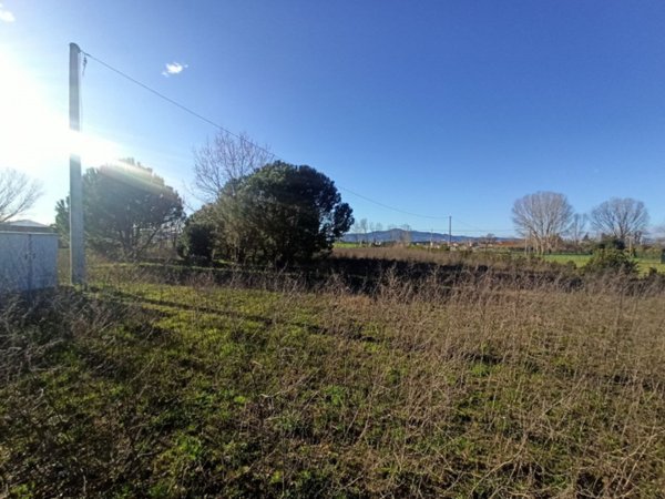 terreno in vendita a Castiglione del Lago in zona Panicarola