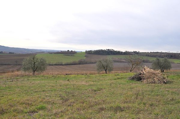 appartamento in vendita a Castiglione del Lago