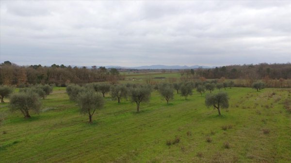appartamento in vendita a Castiglione del Lago