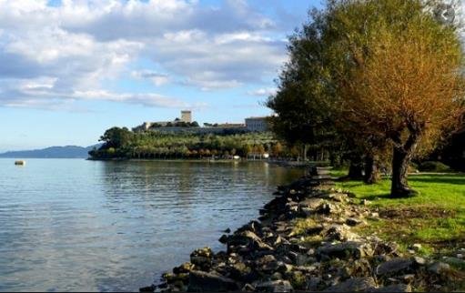 negozio in vendita a Castiglione del Lago