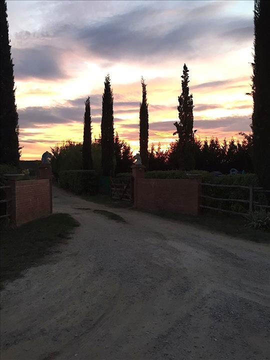 negozio in vendita a Castiglione del Lago