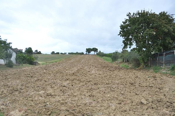 terreno edificabile in vendita a Castiglione del Lago in zona Macchie