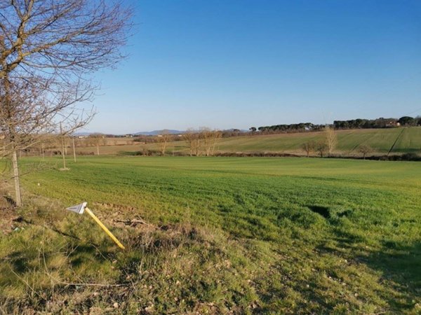 terreno agricolo in vendita a Castiglione del Lago