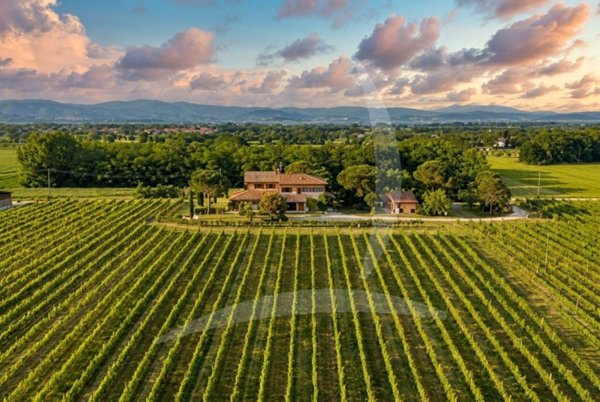 azienda agricola in vendita a Castiglione del Lago