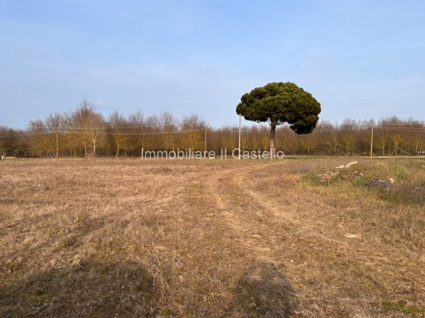 terreno edificabile in vendita a Castiglione del Lago