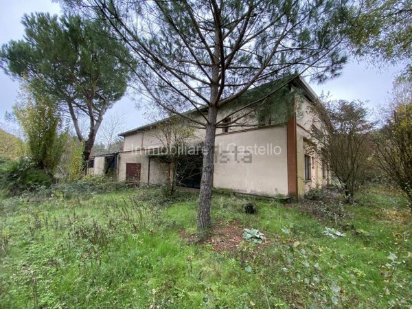 terreno agricolo in vendita a Castiglione del Lago
