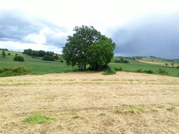 terreno in vendita a Castiglione del Lago