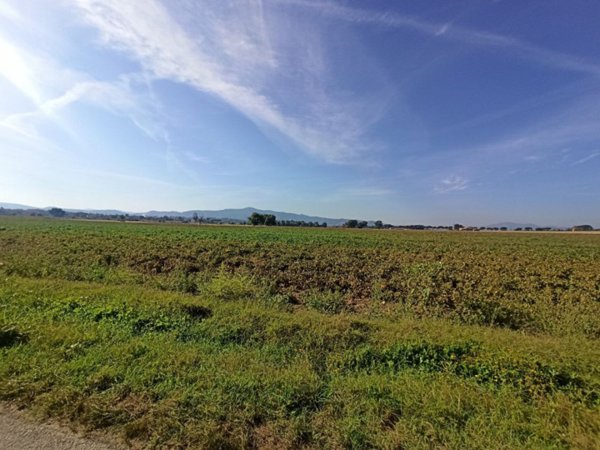 terreno edificabile in vendita a Castiglione del Lago
