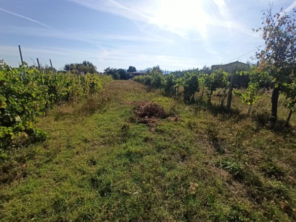 terreno edificabile in vendita a Castiglione del Lago
