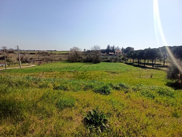 terreno edificabile in vendita a Castiglione del Lago in zona Casamaggiore