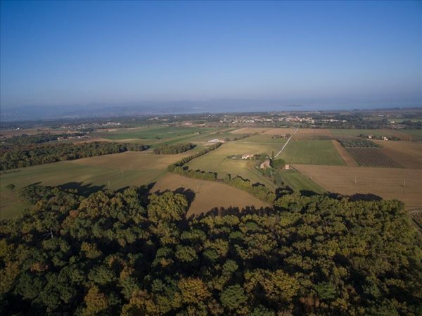 azienda agricola in vendita a Castiglione del Lago in zona Casamaggiore