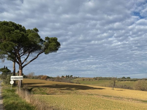 terreno agricolo in vendita a Castiglione del Lago in zona Casamaggiore