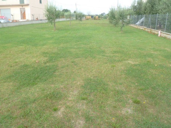 terreno edificabile in vendita a Castiglione del Lago