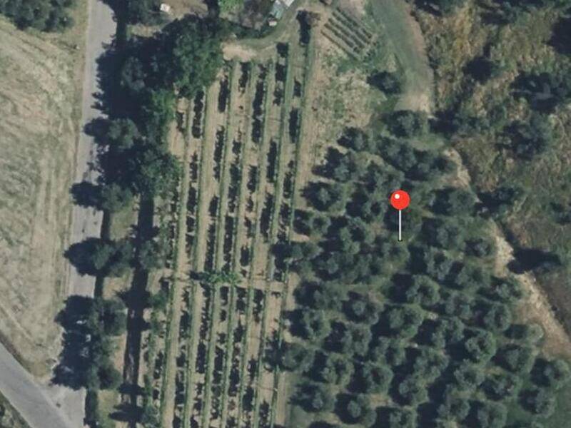 terreno edificabile in vendita a Castiglione del Lago