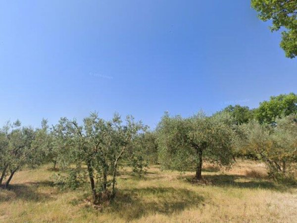 appartamento in vendita a Castiglione del Lago in zona Macchie