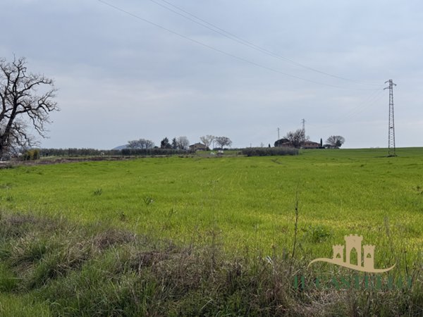 terreno in vendita a Castiglione del Lago in zona Macchie