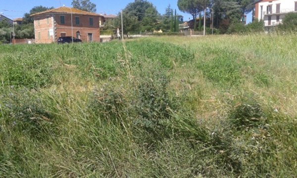 terreno edificabile in vendita a Castiglione del Lago