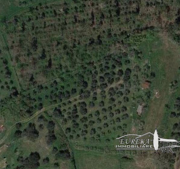 terreno in vendita a Castiglione del Lago in zona Gioiella