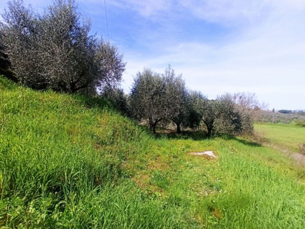 terreno in vendita a Castiglione del Lago