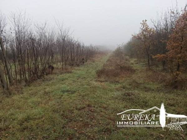terreno in vendita a Castiglione del Lago in zona Piana
