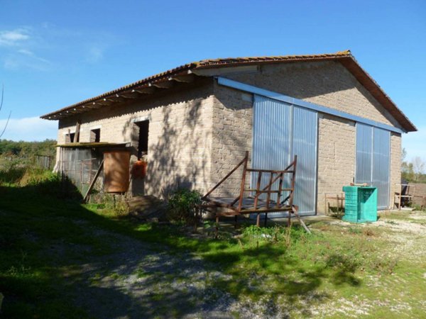 terreno in vendita a Castiglione del Lago