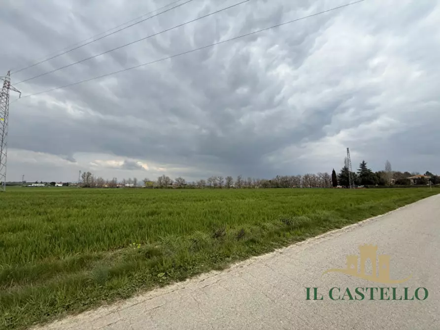terreno in vendita a Castiglione del Lago in zona Macchie