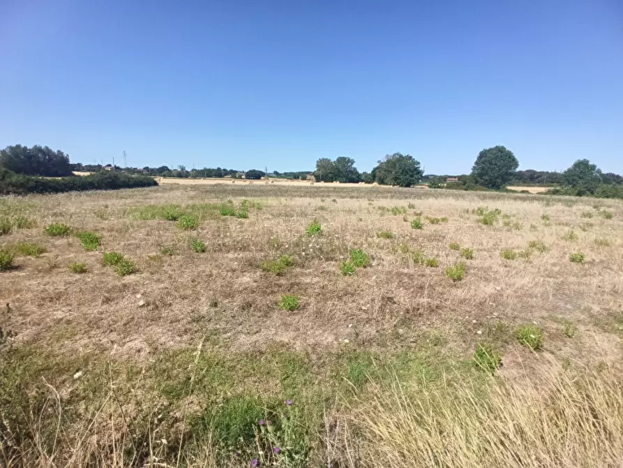 terreno in vendita a Castiglione del Lago