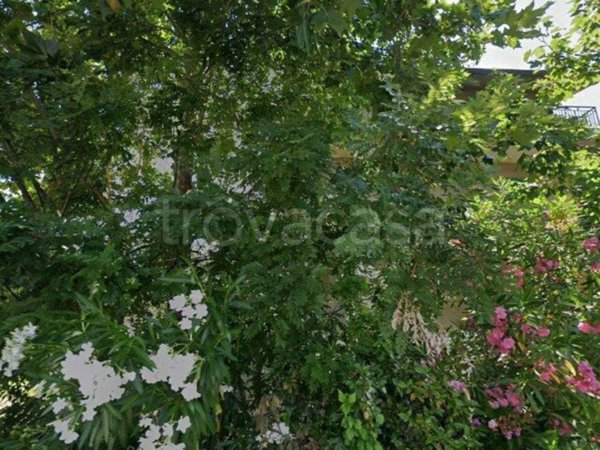 appartamento in vendita a Castiglione del Lago in zona Panicarola