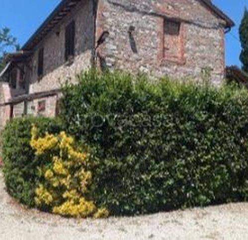 casa indipendente in vendita a Castiglione del Lago in zona Piana