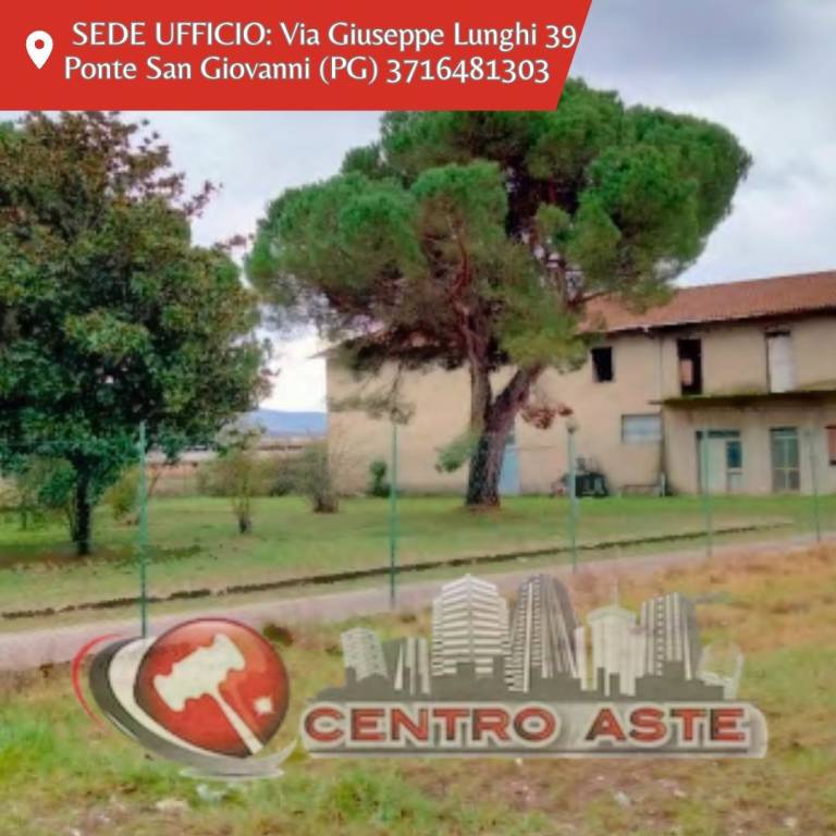locale commerciale in vendita a Castiglione del Lago in zona Panicarola