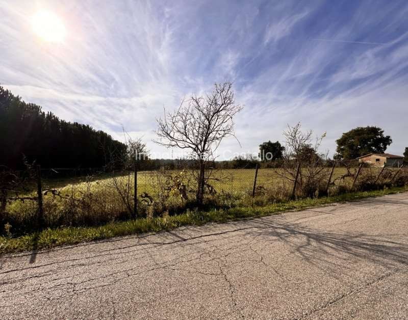 terreno in vendita a Castiglione del Lago in zona Piana