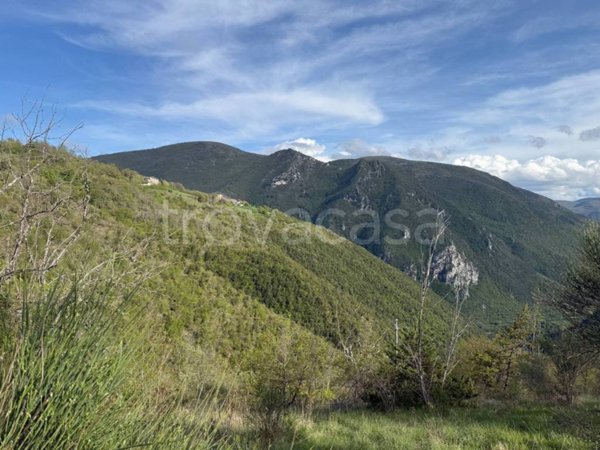terreno agricolo in vendita a Cerreto di Spoleto