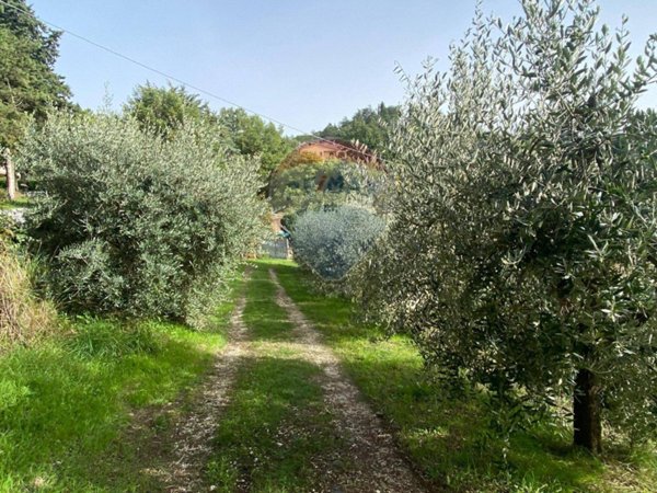 terreno agricolo in vendita a Citerna