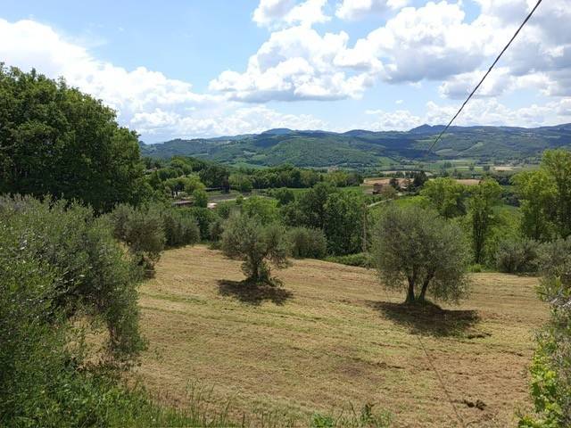 terreno agricolo in vendita a Citerna