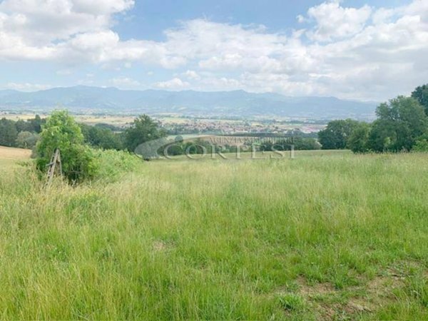 terreno edificabile in vendita a Citerna