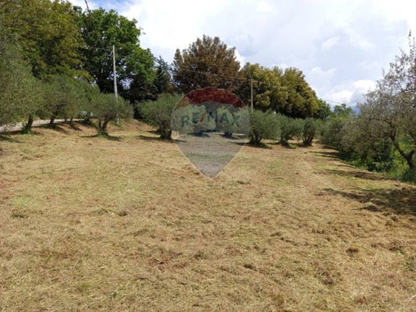 terreno agricolo in vendita a Citerna