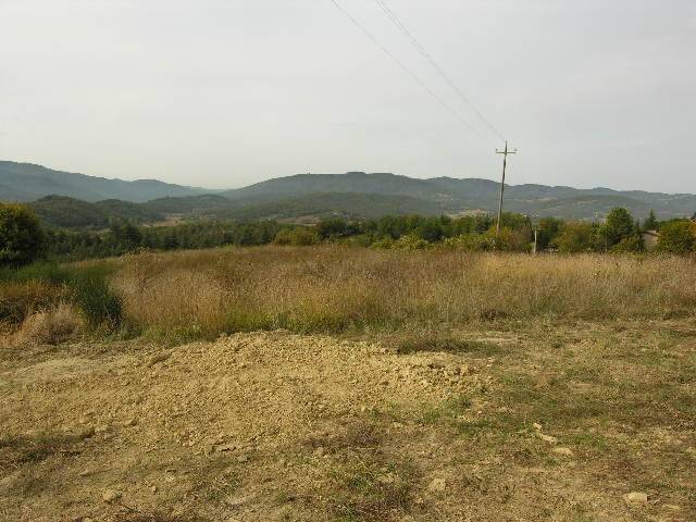 terreno agricolo in vendita a Citerna