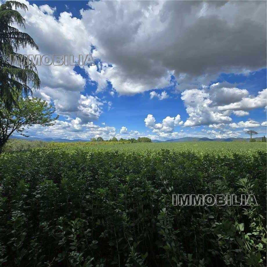 terreno agricolo in vendita a Citerna