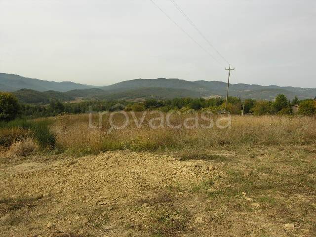 terreno agricolo in vendita a Citerna in zona Fighille
