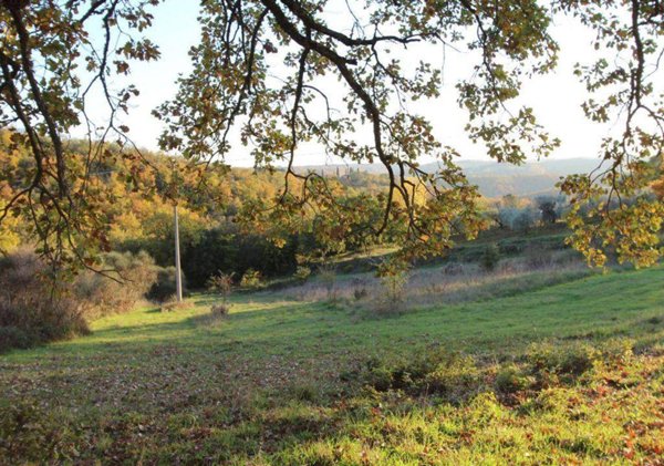 terreno agricolo in vendita a Città della Pieve