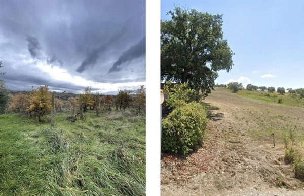 terreno agricolo in vendita a Città della Pieve