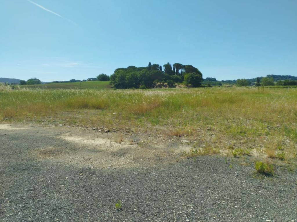 terreno agricolo in vendita a Città della Pieve in zona Moiano