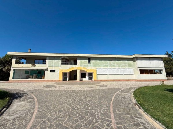 immagine annuncio 0 di 15