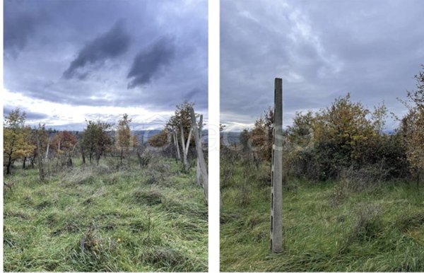 terreno agricolo in vendita a Città della Pieve