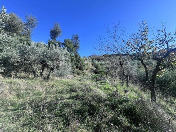 terreno agricolo in vendita a Città della Pieve