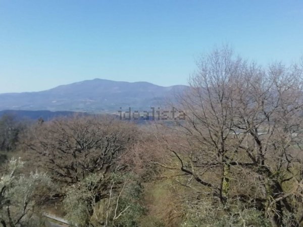 casa indipendente in vendita a Città della Pieve