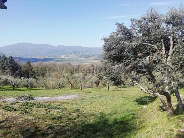 casa indipendente in vendita a Città della Pieve in zona Moiano
