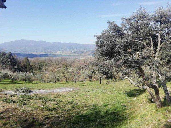 casa indipendente in vendita a Città della Pieve