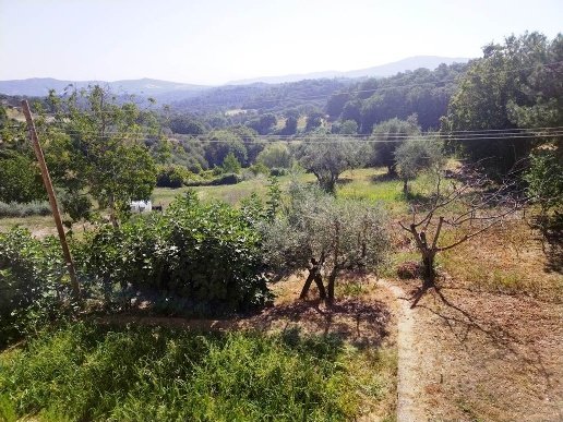 appartamento in vendita a Città della Pieve