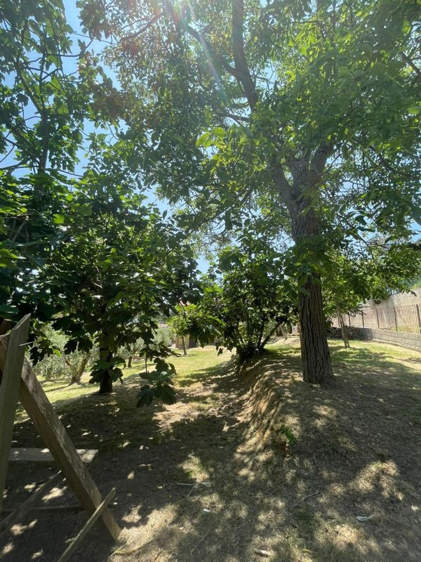 terreno edificabile in vendita a Città della Pieve